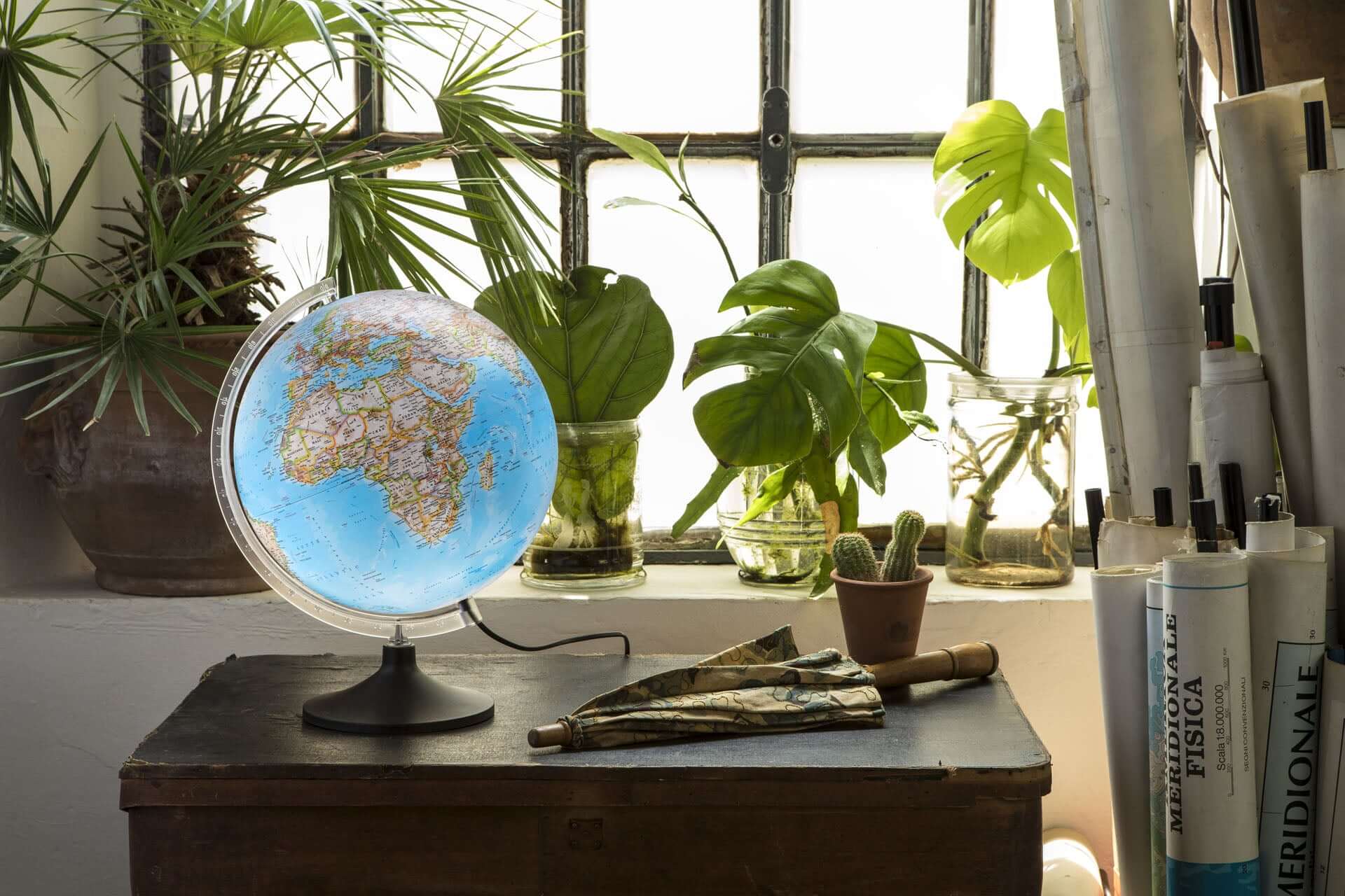 DiProgress Mappamondo Carbon Classic NATGEO su tavolo con piante