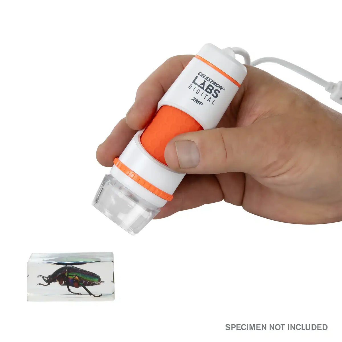 Celestron DELUXE Handheld Digital Microscope - dettaglio 5