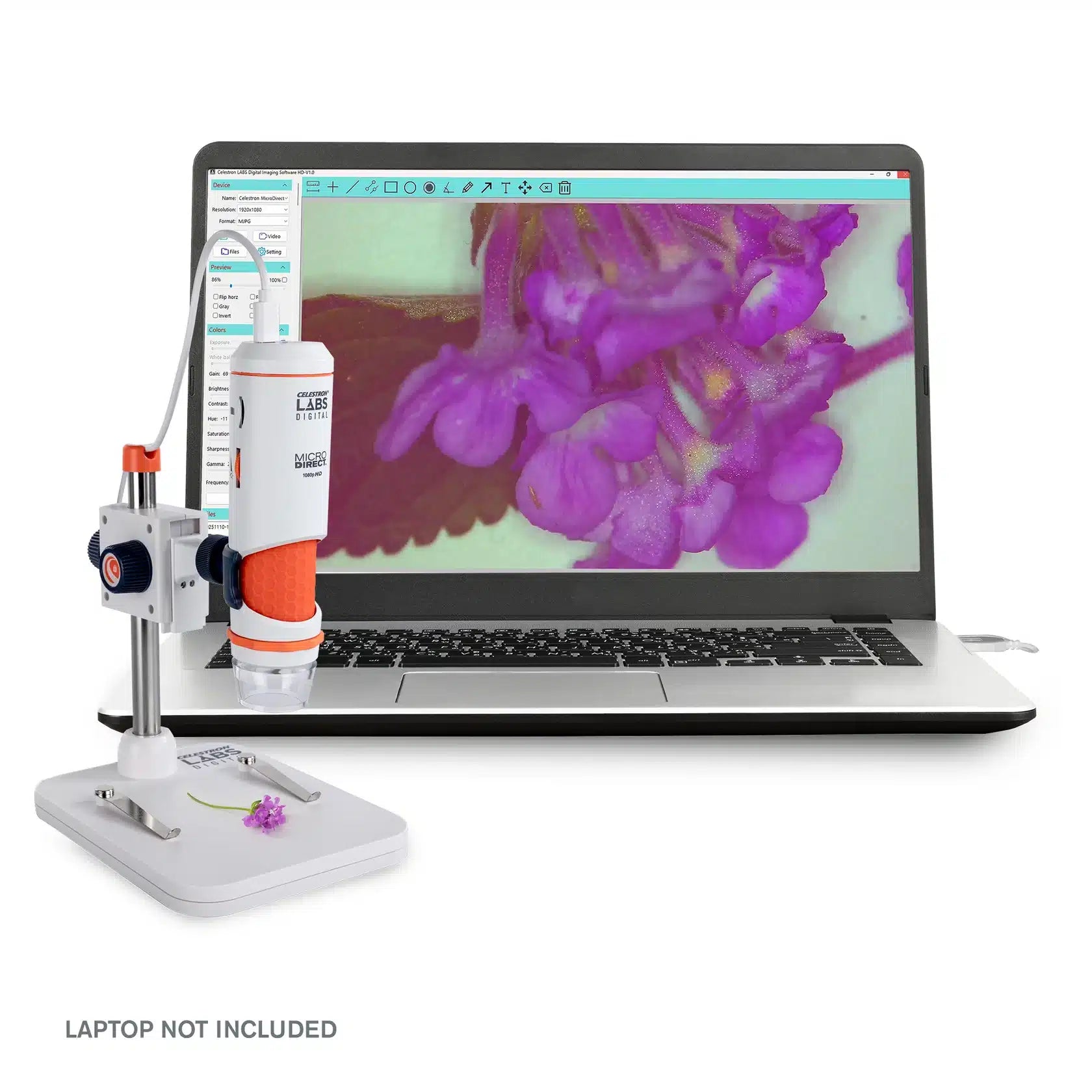 Celestron Microscopio Microdirect 1080p - dettaglio 7