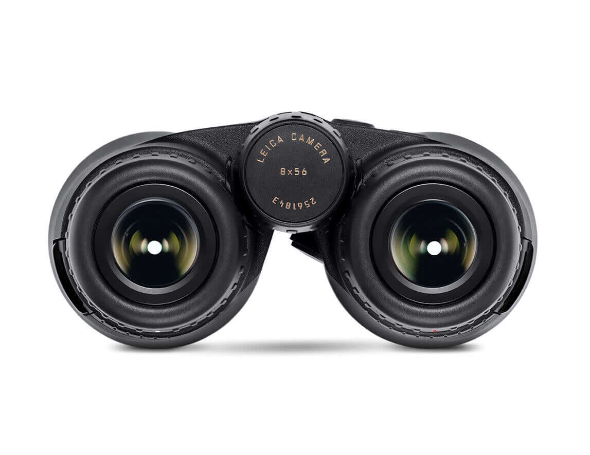 Leica GeovidR 8x56 binocolo HD con telemetro laser integrato