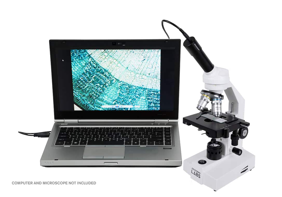 Celestron Digital Microscope Imager 2MPx con laptop e immagini ingrandite