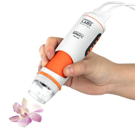 Celestron Microscopio Microdirect 1080p in uso su fiore