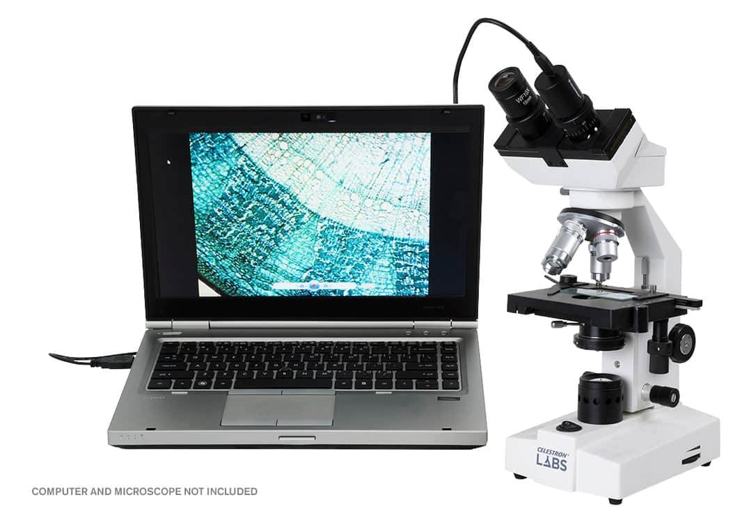 Celestron Digital Microscope Imager 2MPx con computer per immagini