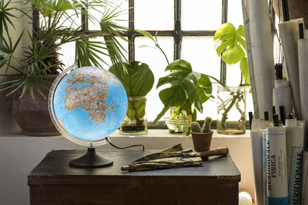 DiProgress Mappamondo Carbon Classic NATGEO su tavolo con piante