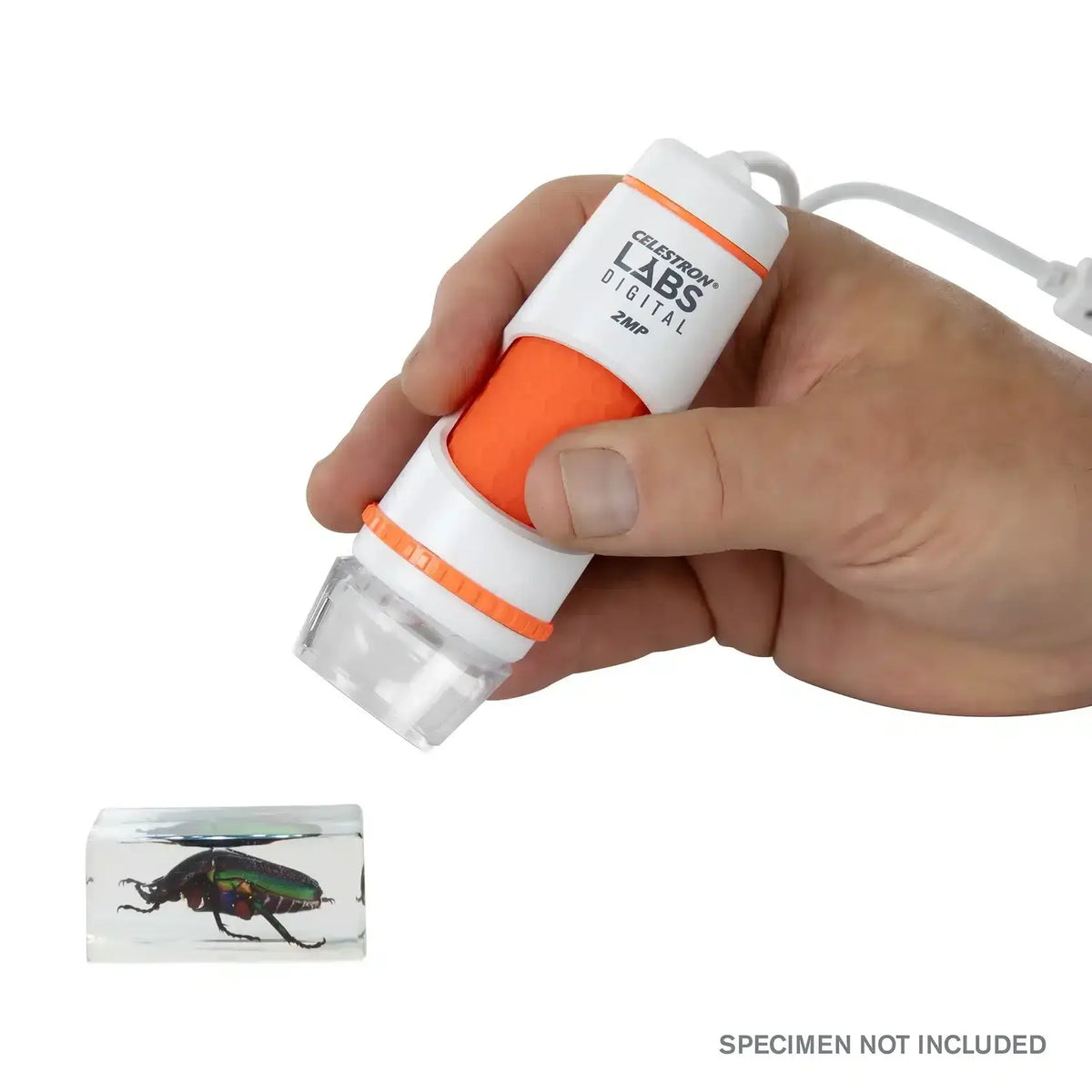 Celestron DELUXE HandHeld Digital Microscope in uso