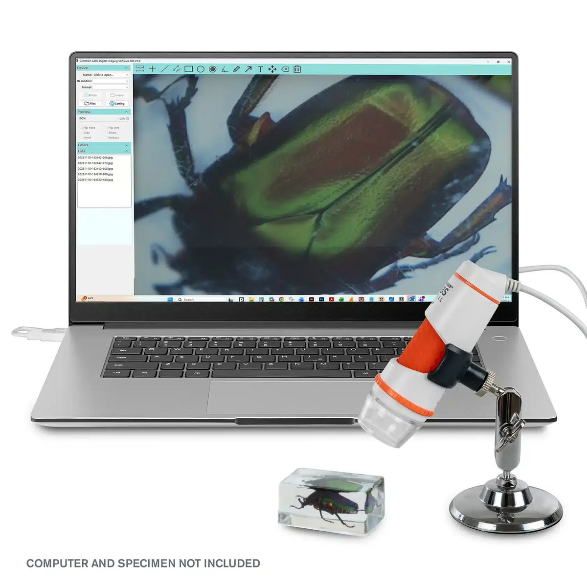 Celestron DELUXE HandHeld Digital Microscope in uso con laptop
