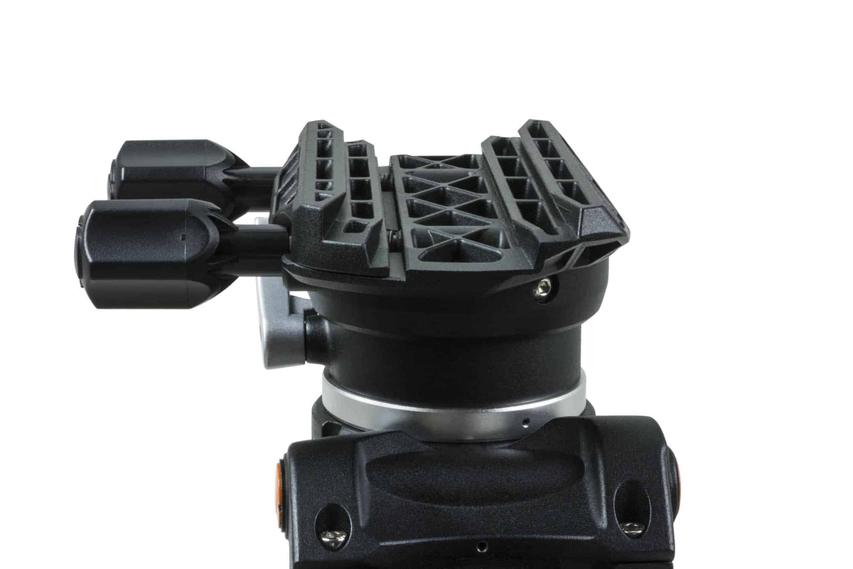 Celestron CGEM II Montatura Equatoriale GoTo dettaglio