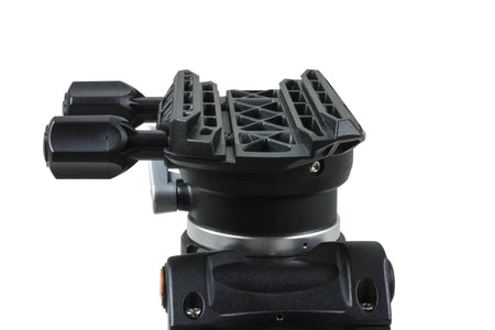 Celestron CGEM II Montatura Equatoriale GoTo dettaglio